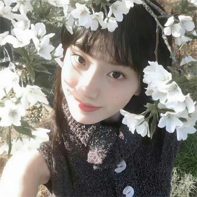 钦天奇谭