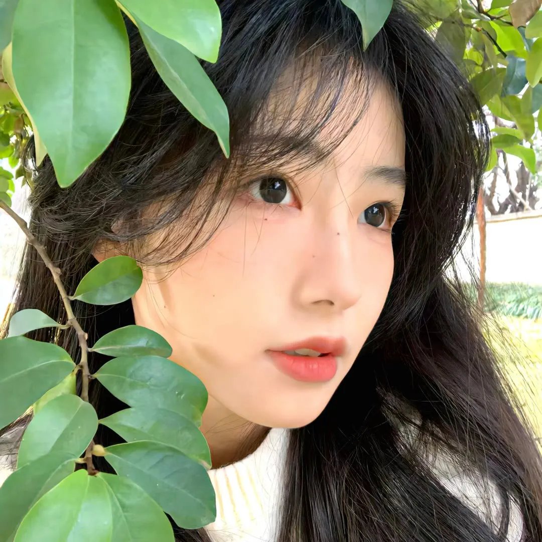 带摄影机的陌生人